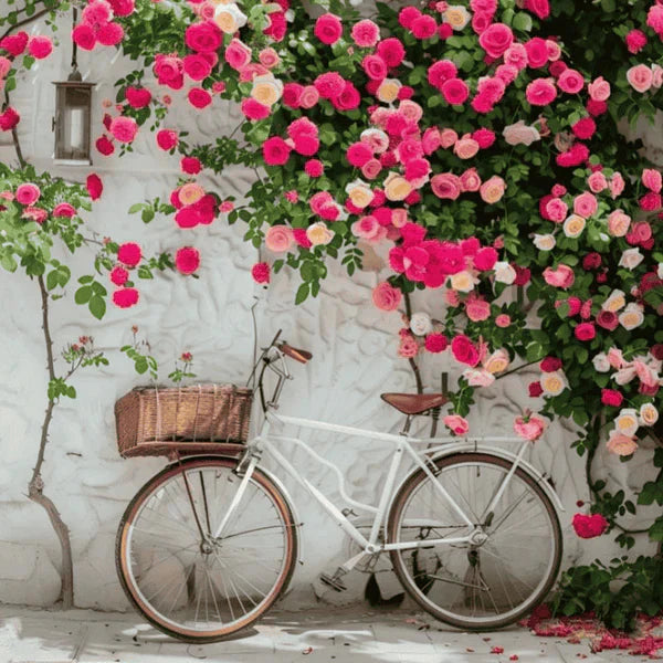 Rosa Bloom™ – Premium Climbing Rose Seeds