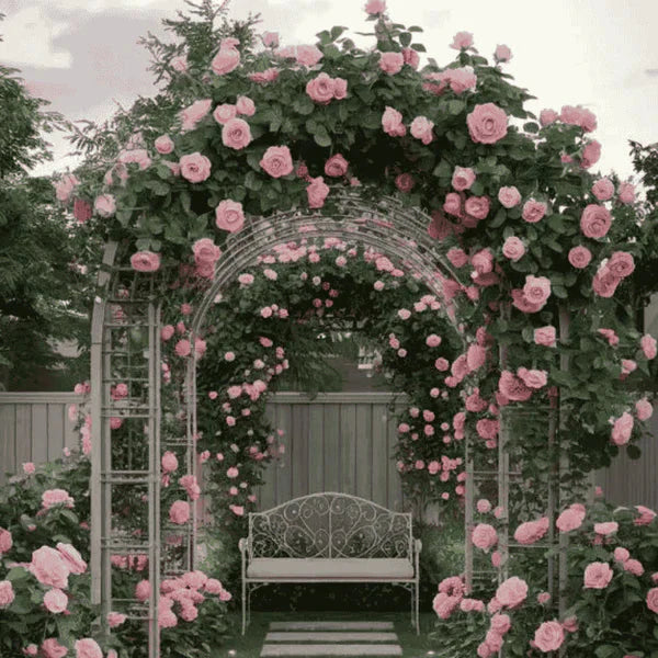 Rosa Bloom™ – Premium Climbing Rose Seeds